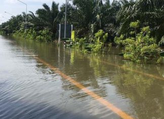 เตือน! เหนือ – อีสาน ระวังน้ำท่วมฉับพลัน น้ำป่าไหลหลาก 30 มิ.ย. – 2 ก.ค. นี้