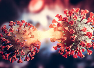 กรมวิทยาศาสตร์การแพทย์ชี้ไทยพบโอไมครอน BA.4/BA.5 เพิ่ม กทม.มากสุด แพร่จากเมืองไปชนบท