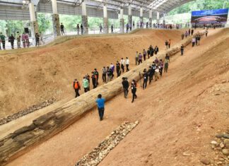 นายกฯ ชื่นชม “ไม้กลายเป็นหิน” จ.ตาก ยาวที่สุดในโลก