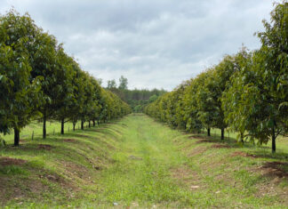 เปิดช่องทาง “ขึ้นทะเบียนเกษตรกร” ผ่านระบบออนไลน์ e-Form เริ่มแล้ววันนี้!