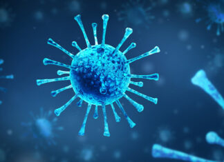 ครม. อนุมัติงบ 12 ลบ. ช่วยเหลือ “ศิลปินอาวุโส” 2,459 คน ที่ได้รับผลกระทบจากโควิด